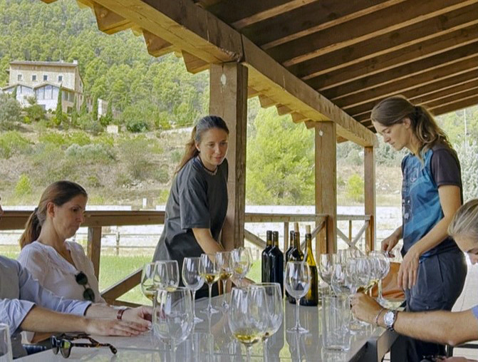 Visite guidée du vignoble et de la cave et dégustation de 4 vins biologiques