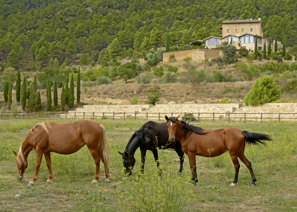 Gourmet Equestrian Experience - Torre del Marqués