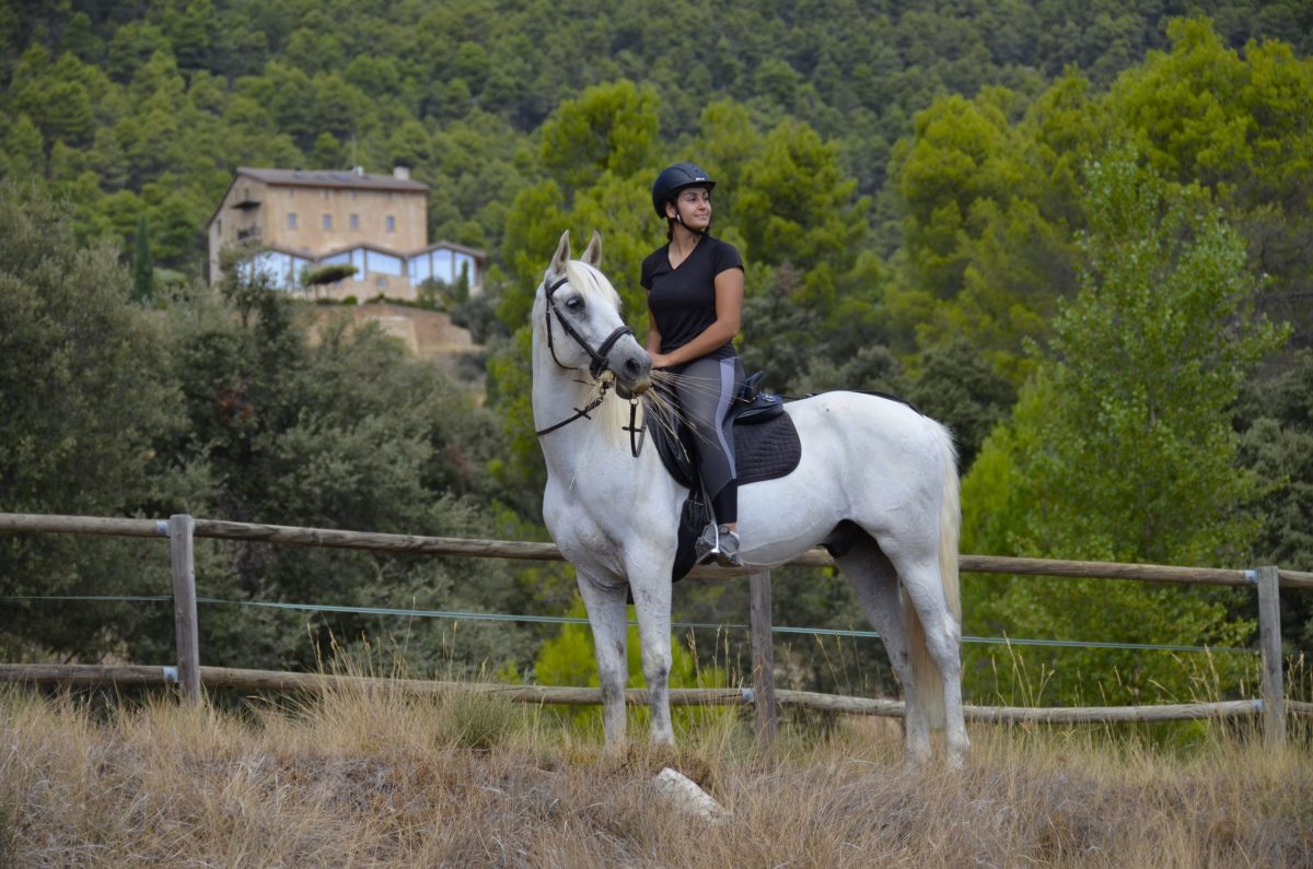 Paseo a caballo (60 min) + Comida en Rincón Gastronómico o Menu en Atalaya del Tastavins