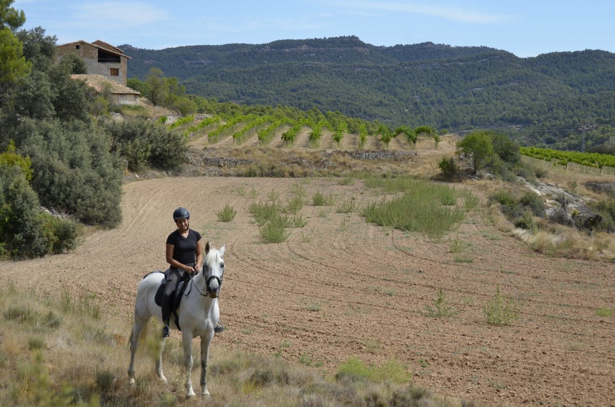 Horseback riding (120 min) Ribera Tastavins