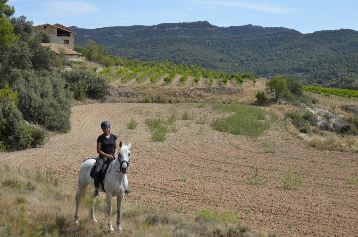 Ruta a caballo (120 min) Ribera Tastavins